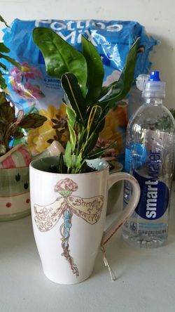 Handmade one-of-a-kind plant in cream mug