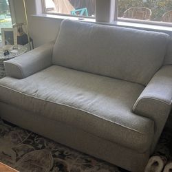Loveseat and Couch