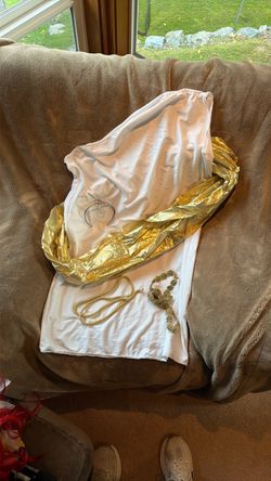 Greek goddess costume