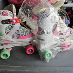 Interchangeable Roller Skates/Roller Blades