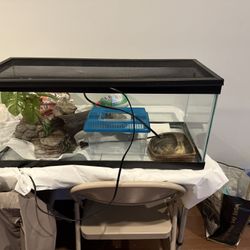 50 Gallon Tank Set Up