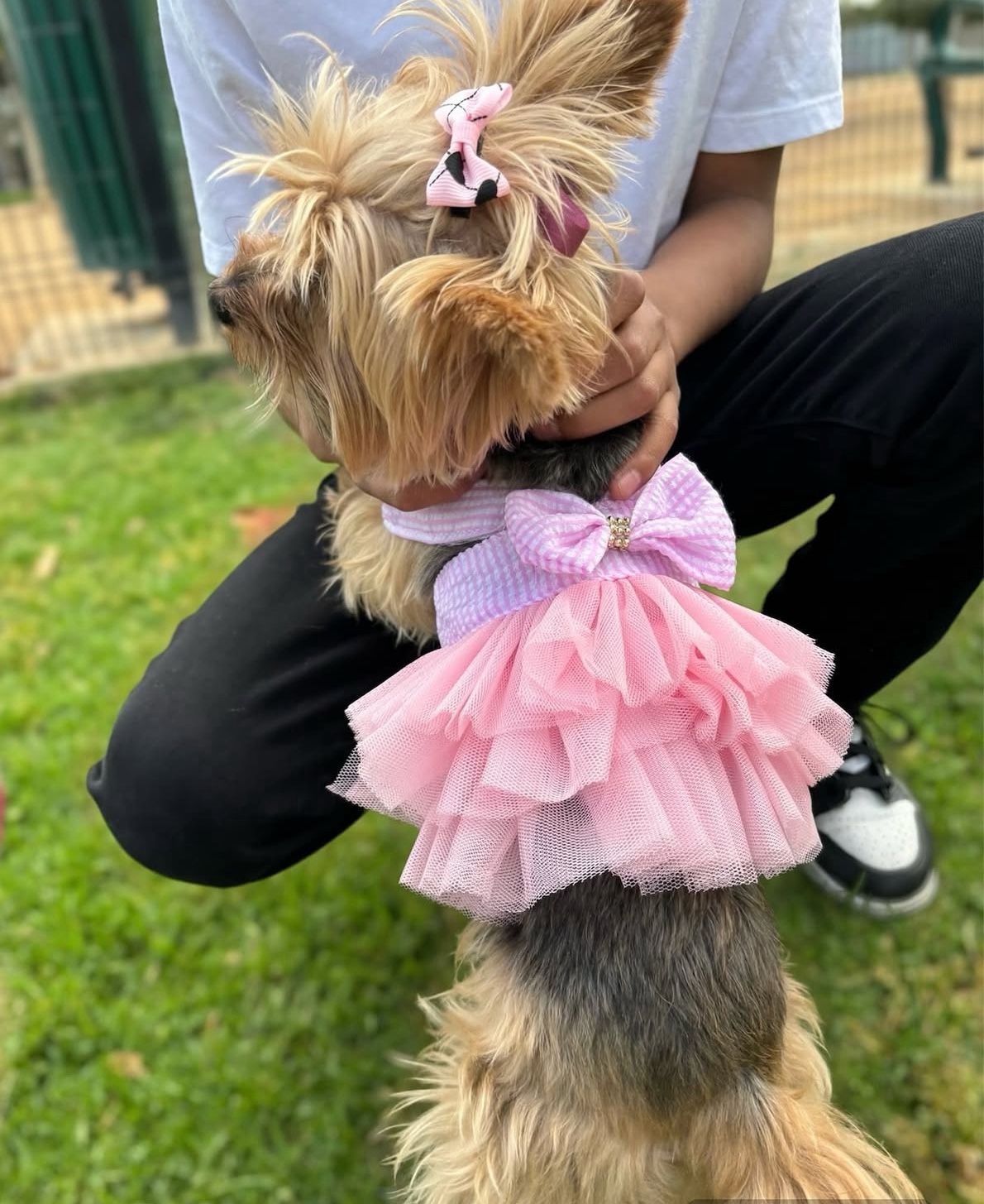 Ropa Para Mascotas / Pet clothing