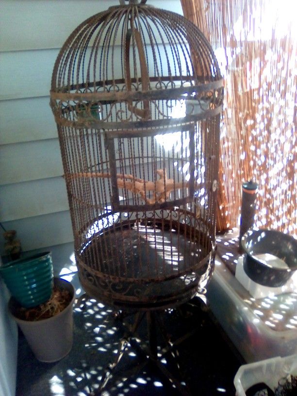 Antique Iron Bird Cage 