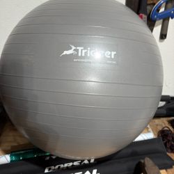 TriDeer Exercise Ball