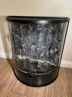 20 gallon tank