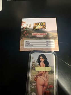 1 Ounce Silver Bar