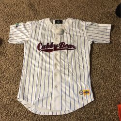 Vintage Cubby Bear Baseball Jersey
