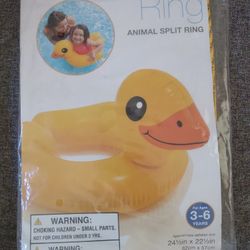 Duck Floatie