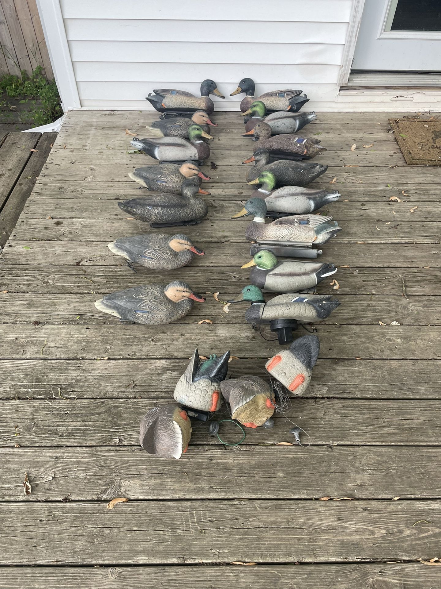 Plastic Hunting Duck Decoys