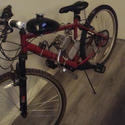 Bike Motor