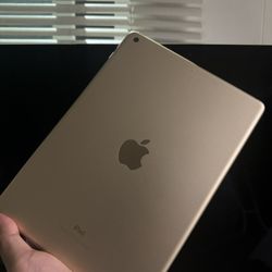 Ipad 5th Generation