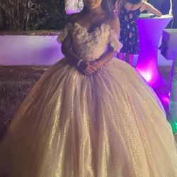 Quinceañera Dress + Crinolina 