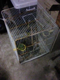 Birdcage $25