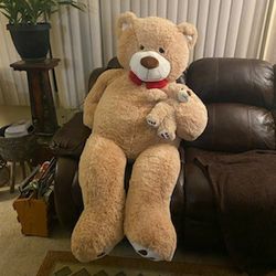 Huge Bear 5' Pickup Rohnert Park $15