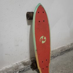 Skate Board 24"