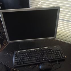 Dell Computer Monitor 