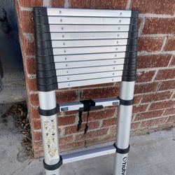 Telescopic Ladder for Sale 