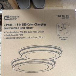 2 LED Ceiling Lights