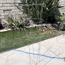 Tomato Cage