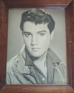 Elvis Picture