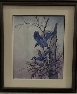 Blue Jay Print
