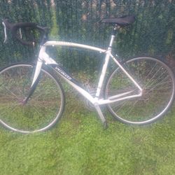 56.5cm Specialized Secteur 