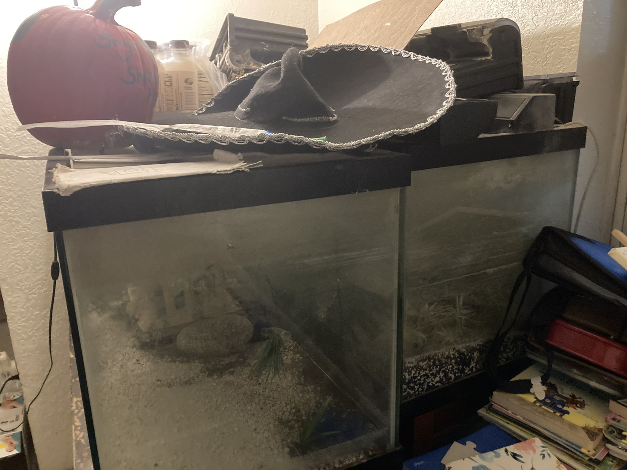 Fish Tank For Sell 