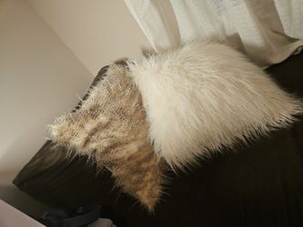 Two Fluffy Pillows For Couch Cute 😍  Great Condition