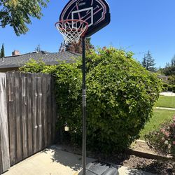 Lifetime youth basketball Hoop