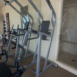 Hamer strength pull up/dip/leg raise