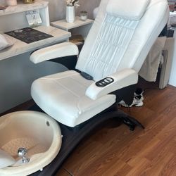 Pedispa