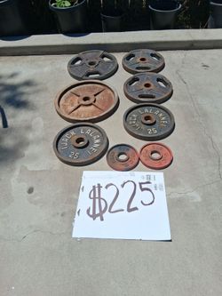 Olympic weights 225 lb