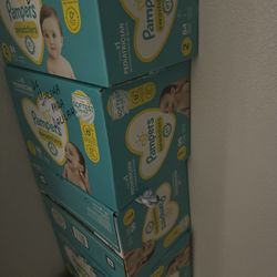 Pamper Diapers Boxes 