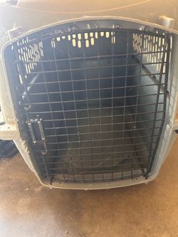 Pet carrier
