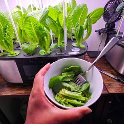 LetPot Max Indoor Hydroponic System