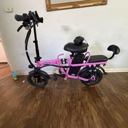 Electric Bike 