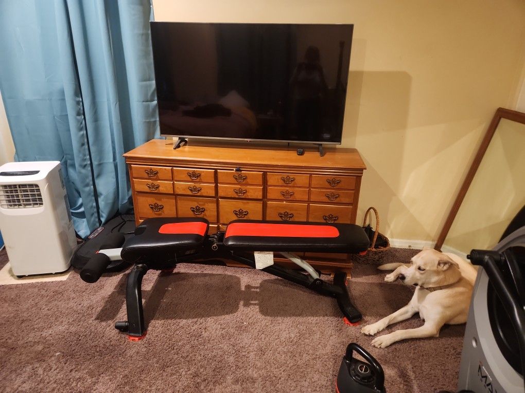 Bowflex Weight Bench