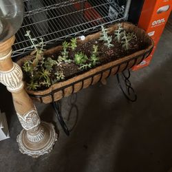Plant Holder