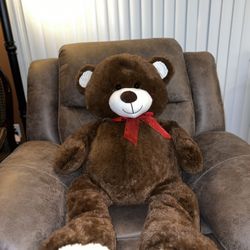 Big Teddy Bear