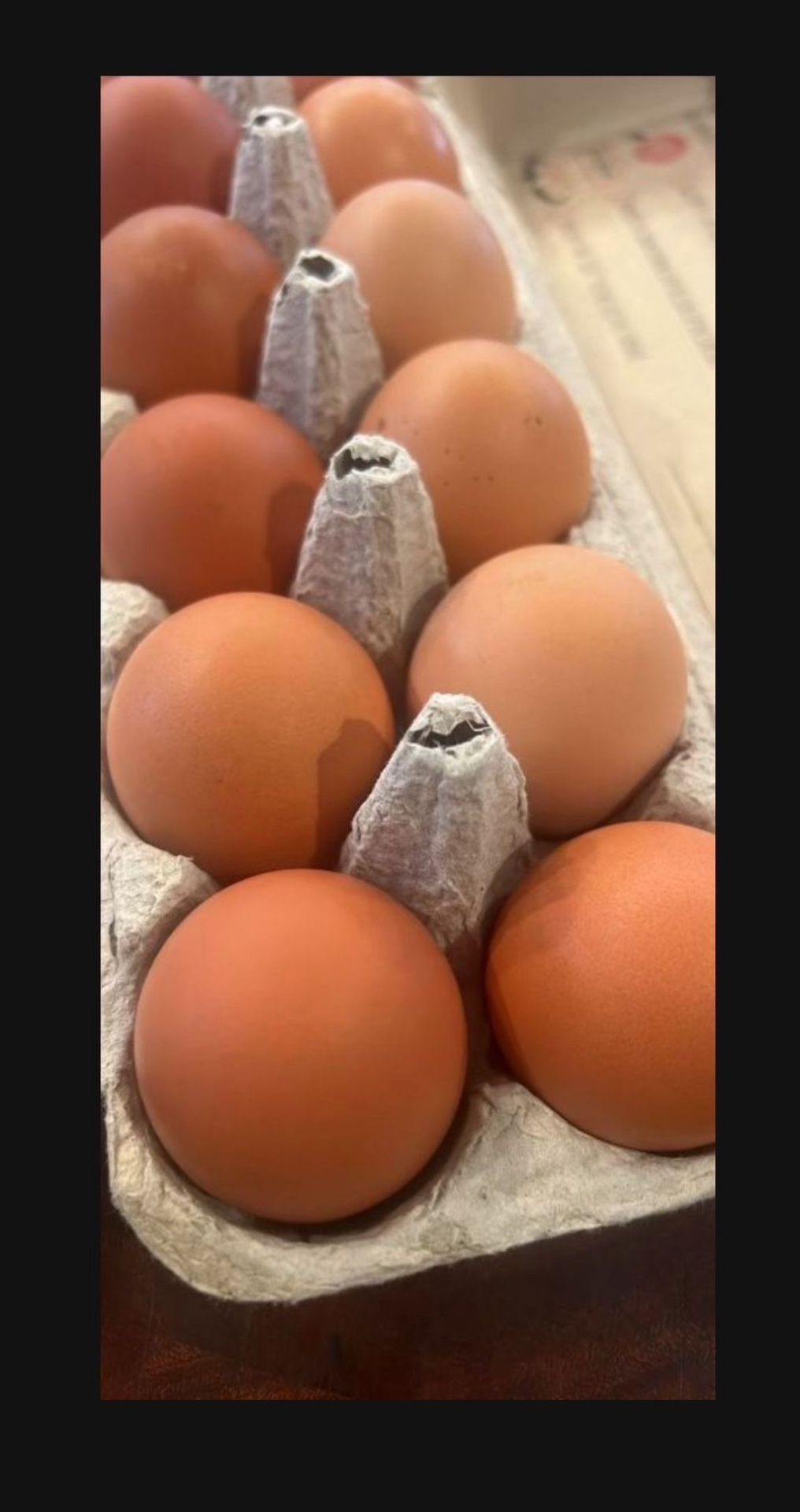 Pasteurized Eggs Farm Fresh