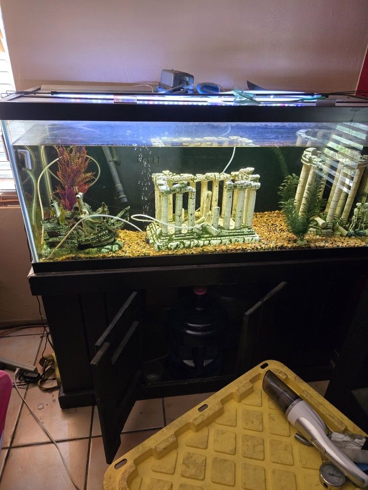 Acuario, Pecera, Glass Fish Tank, Aquarium With Stand, Light, Deco,filter Etc