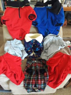 Companion Road dog clothes