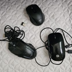 Computer Mouse 