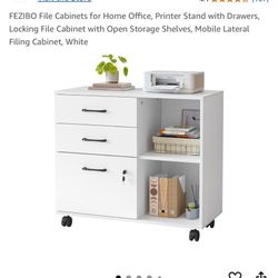 Printer Desk With Cabinets . 