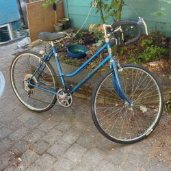 12 Speed Montgomery Ward open road Bike