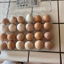 100% ORGANIC FREE RANGE LARGE EGGS
