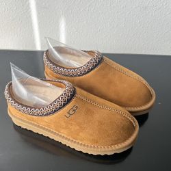 Chestnut Tasman Uggs