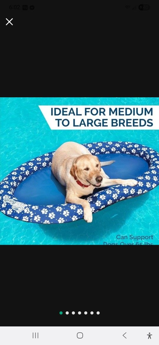 New! SwimWays Paddle Paws Spring Float Dog Raft, Large (65 lbs. and Up), Blue ( reseda ca)
