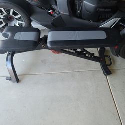 Bowflex Wright Bench 