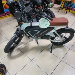 E3 Electric Bicycle 1000w 26mph